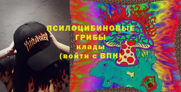 метадон Богданович