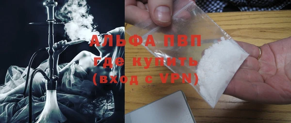 индика Богородск