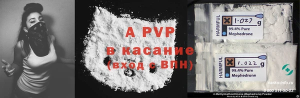 индика Богородск
