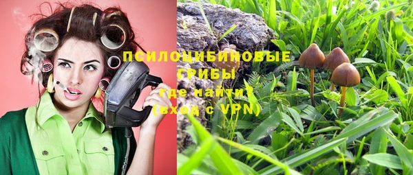 индика Богородск