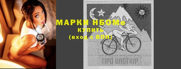 метадон Богданович