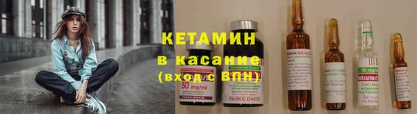 индика Богородск