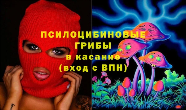 индика Богородск