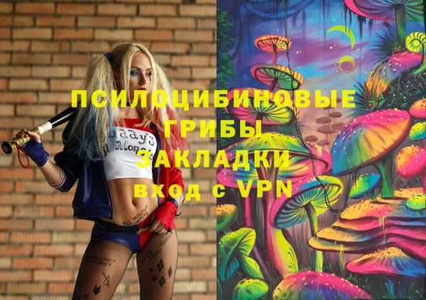индика Богородск