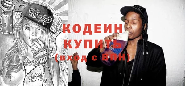 индика Богородск