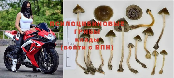 дурь Семилуки
