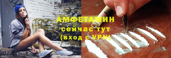 метадон Богданович