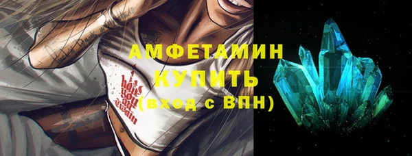 индика Богородск