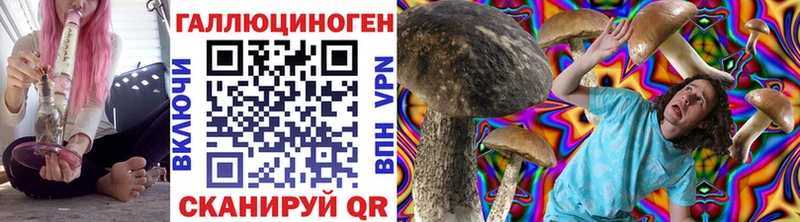 mega вход  Острогожск  Псилоцибиновые грибы Psilocybine cubensis 