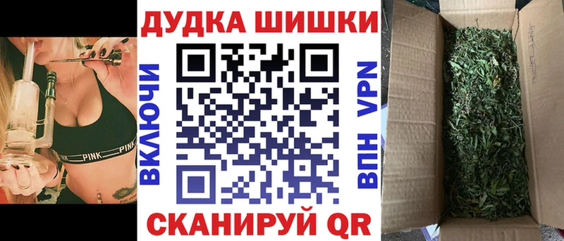 где купить наркоту  Острогожск  мега ссылки  Шишки марихуана марихуана 